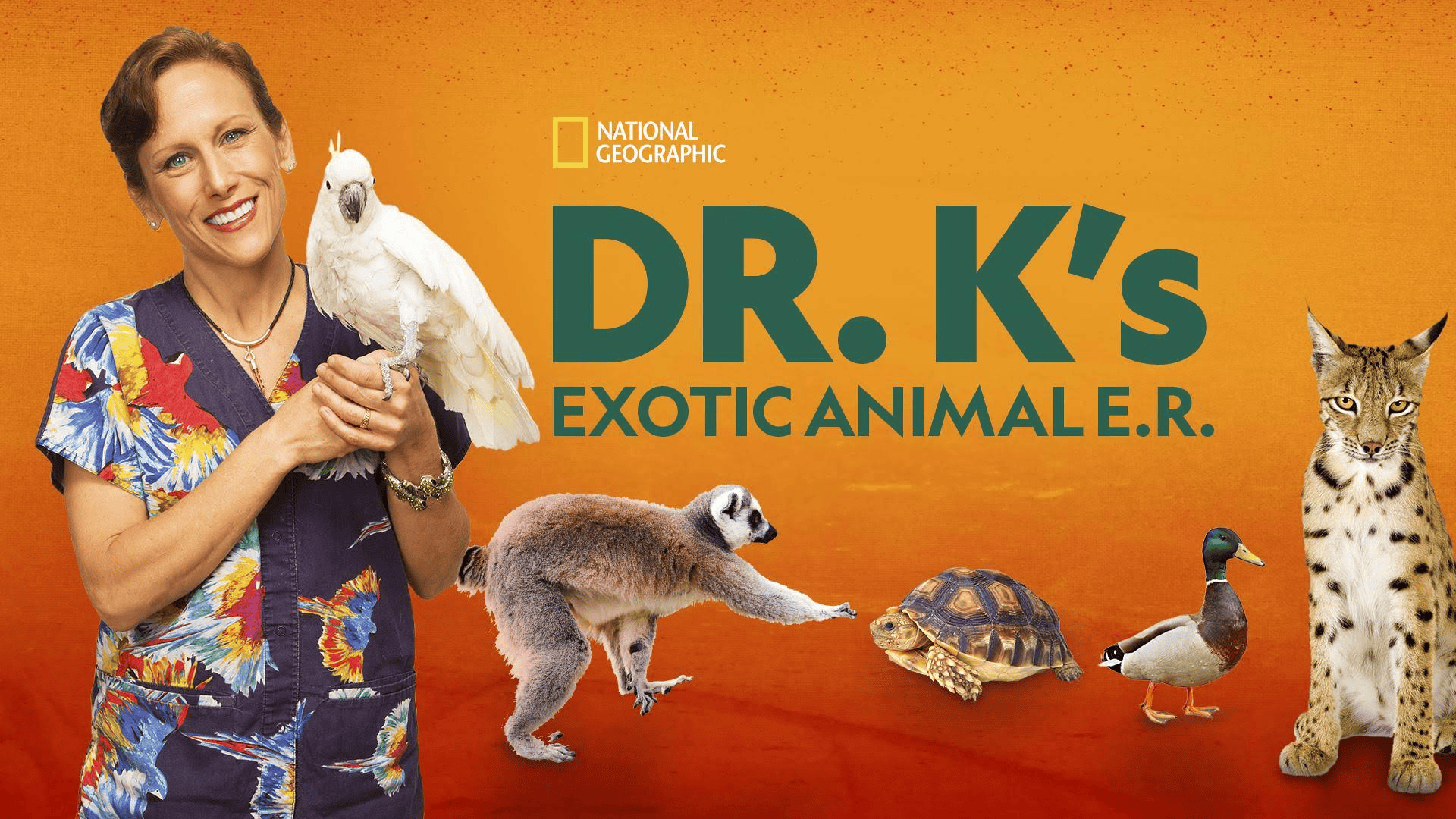 DR. K’s Exotic Animal E.R (Disney+)
