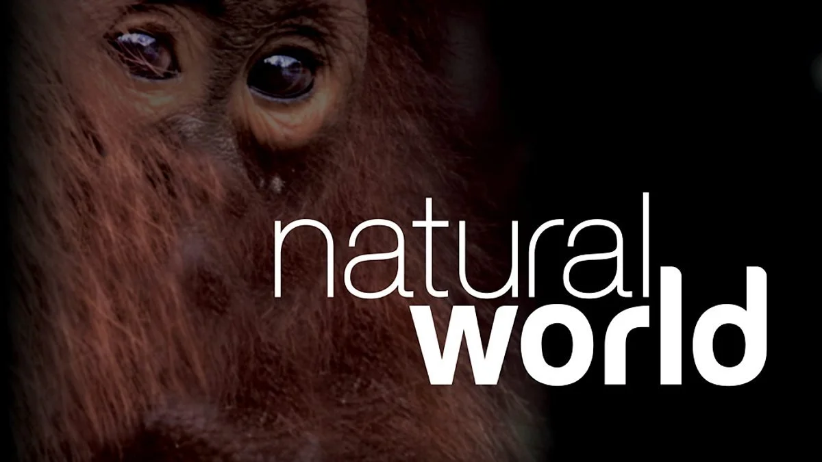Natural World (BBC)