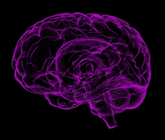 Brain2.jpg