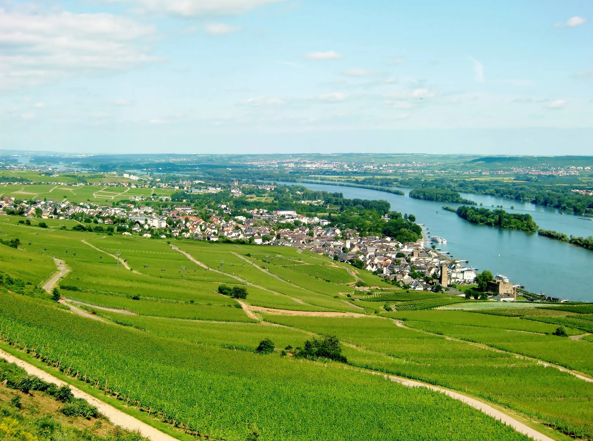 Rheingau_Weinpaket.jpg