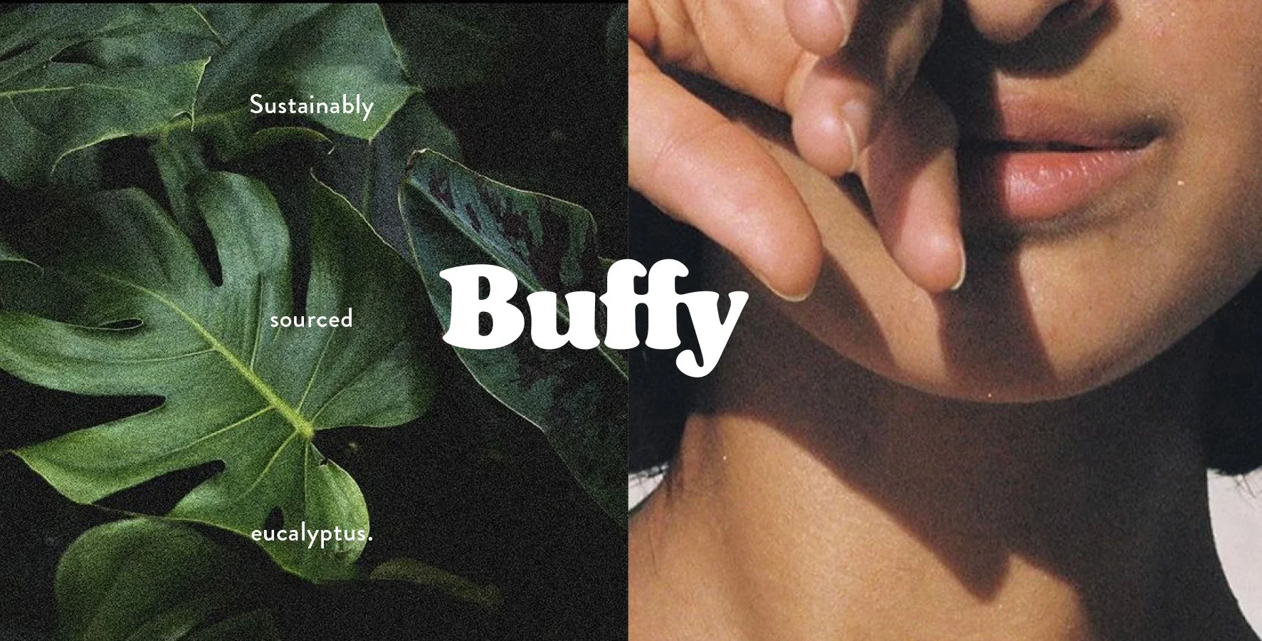 Buffy-layout-1.jpg