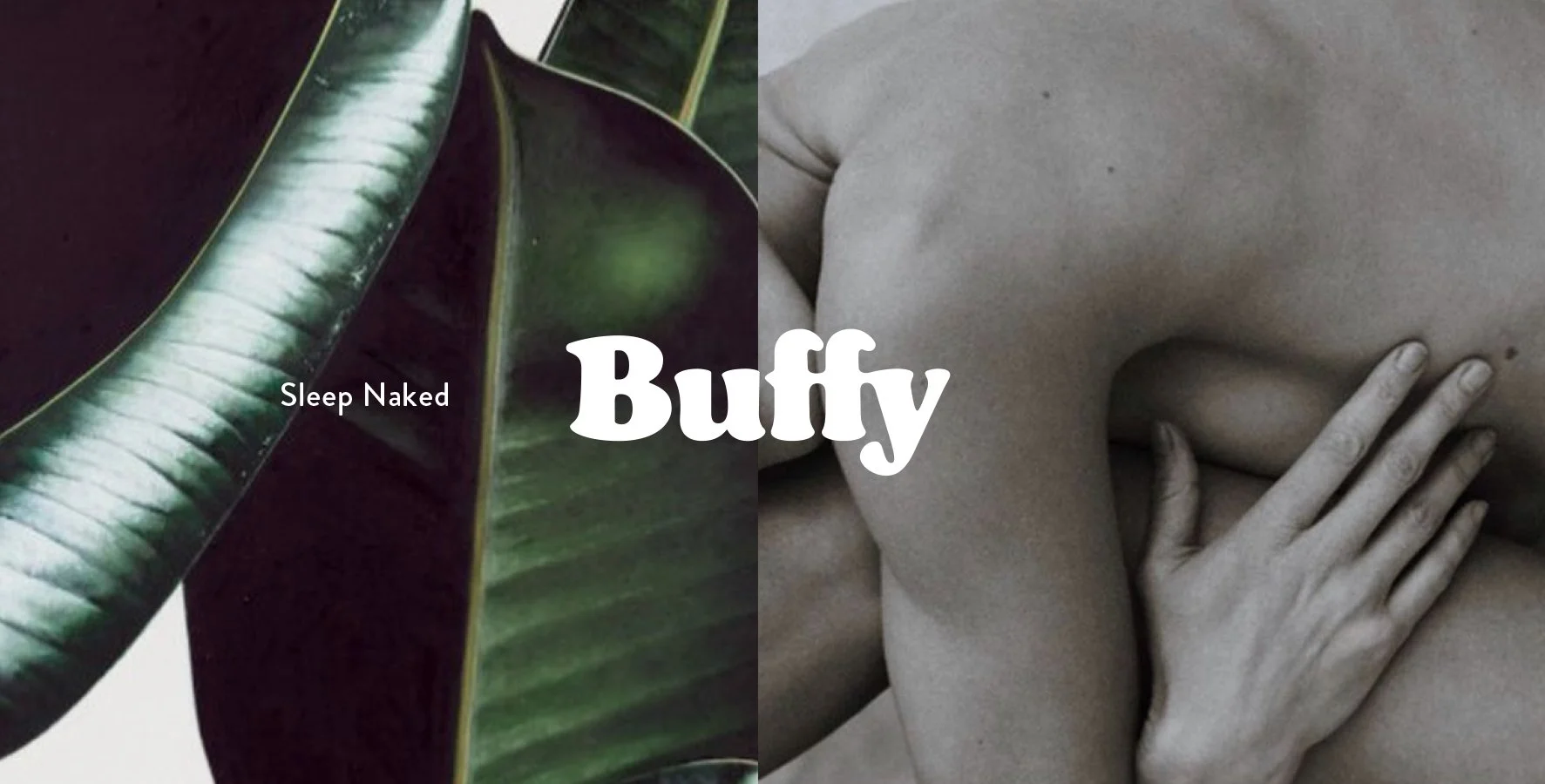 Buffy-layout-2.jpg
