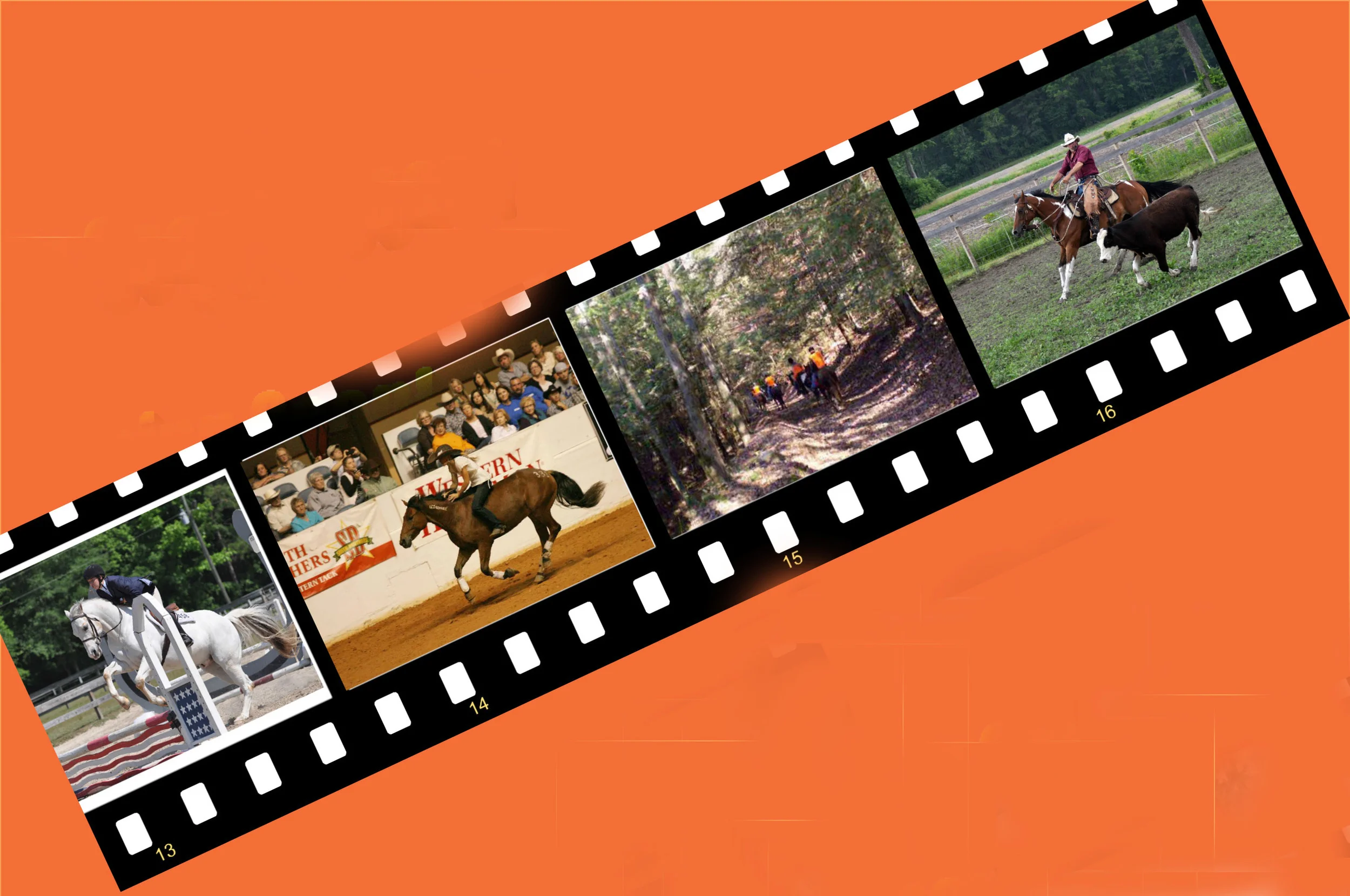 film strip from ad 2.jpg
