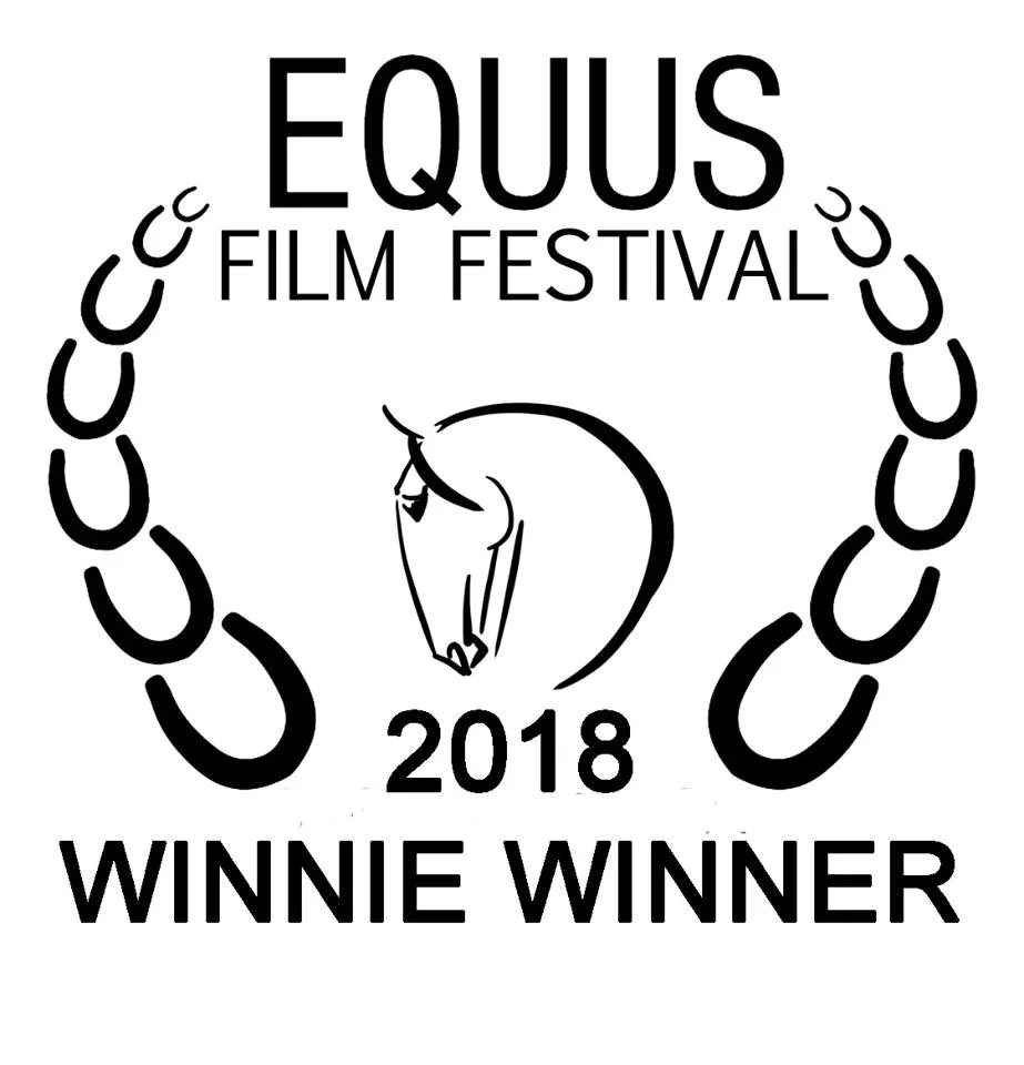 equus winner.jpg