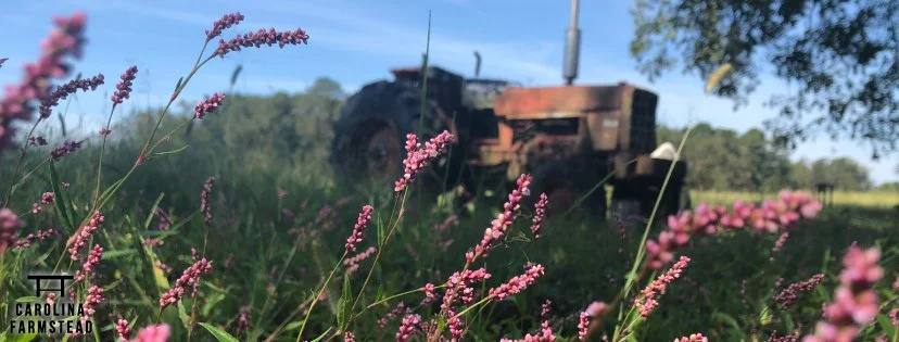 Old Tractor at Carolina Farmstead