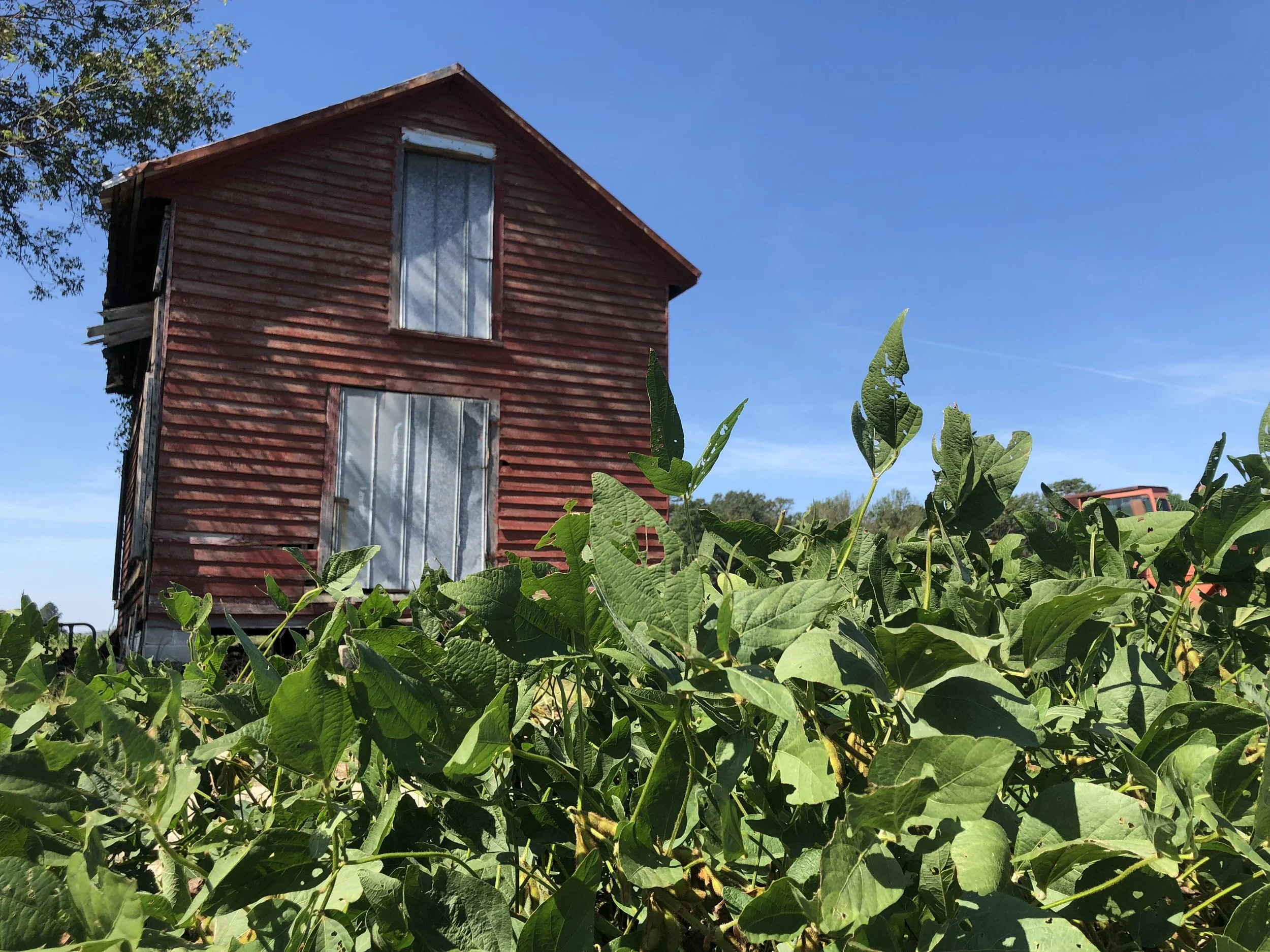 Old Barn at Carolina Farmstead