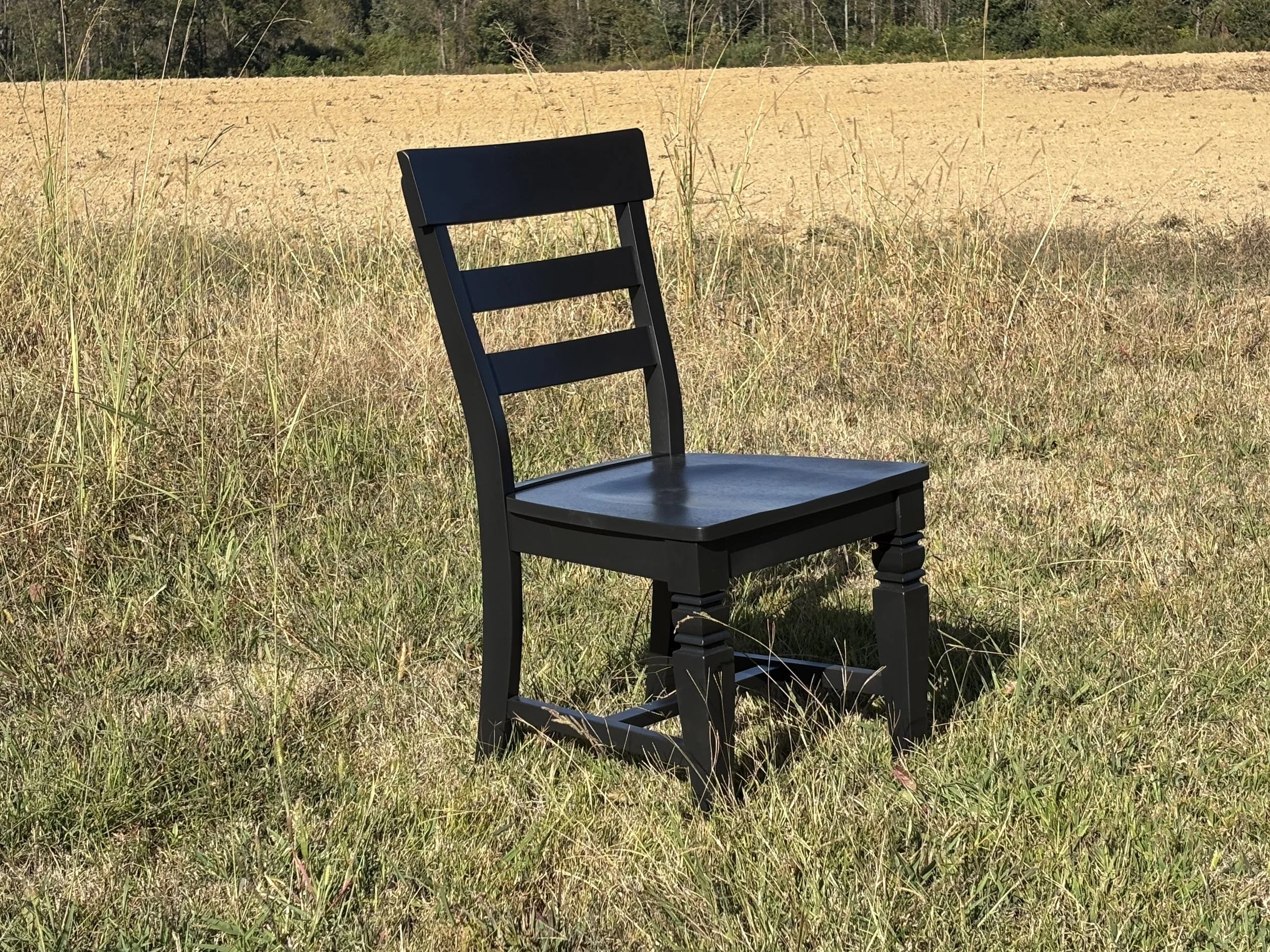 The Crooner's Chairs (Set of 6)