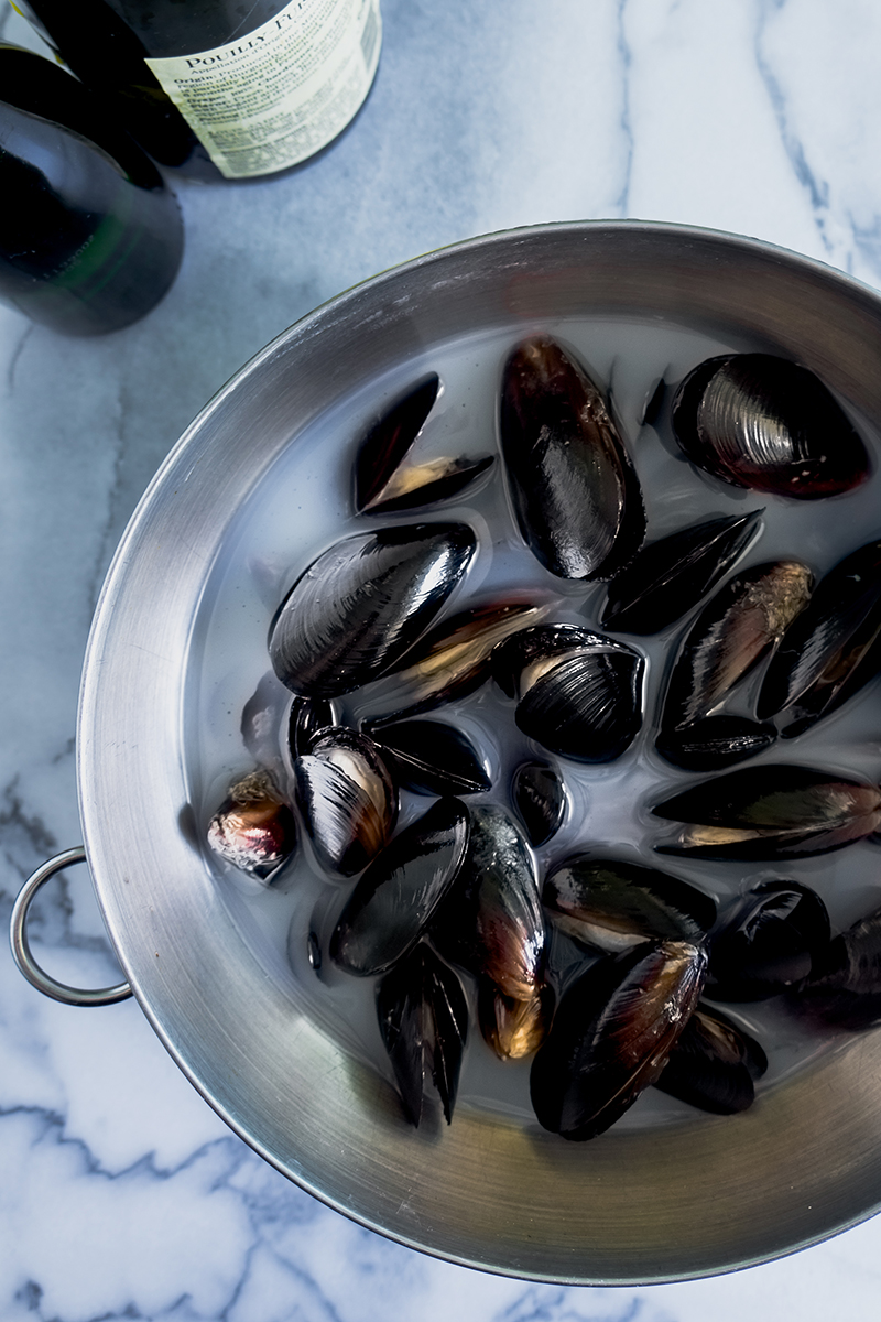 Fresh mussels 