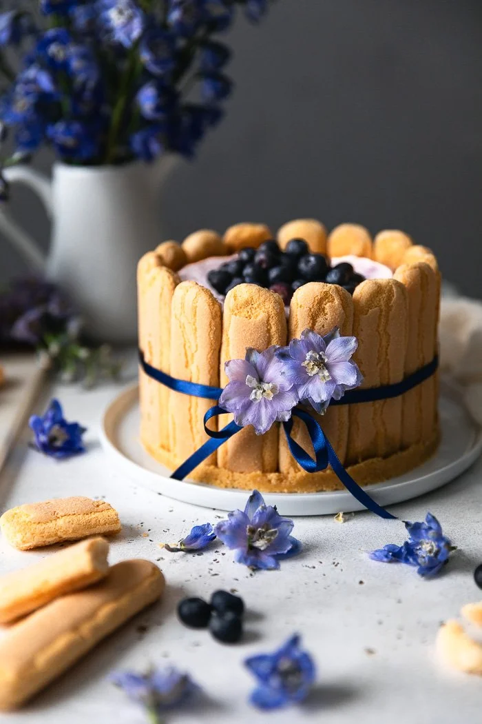Blueberry Charlotte Cheesecake
