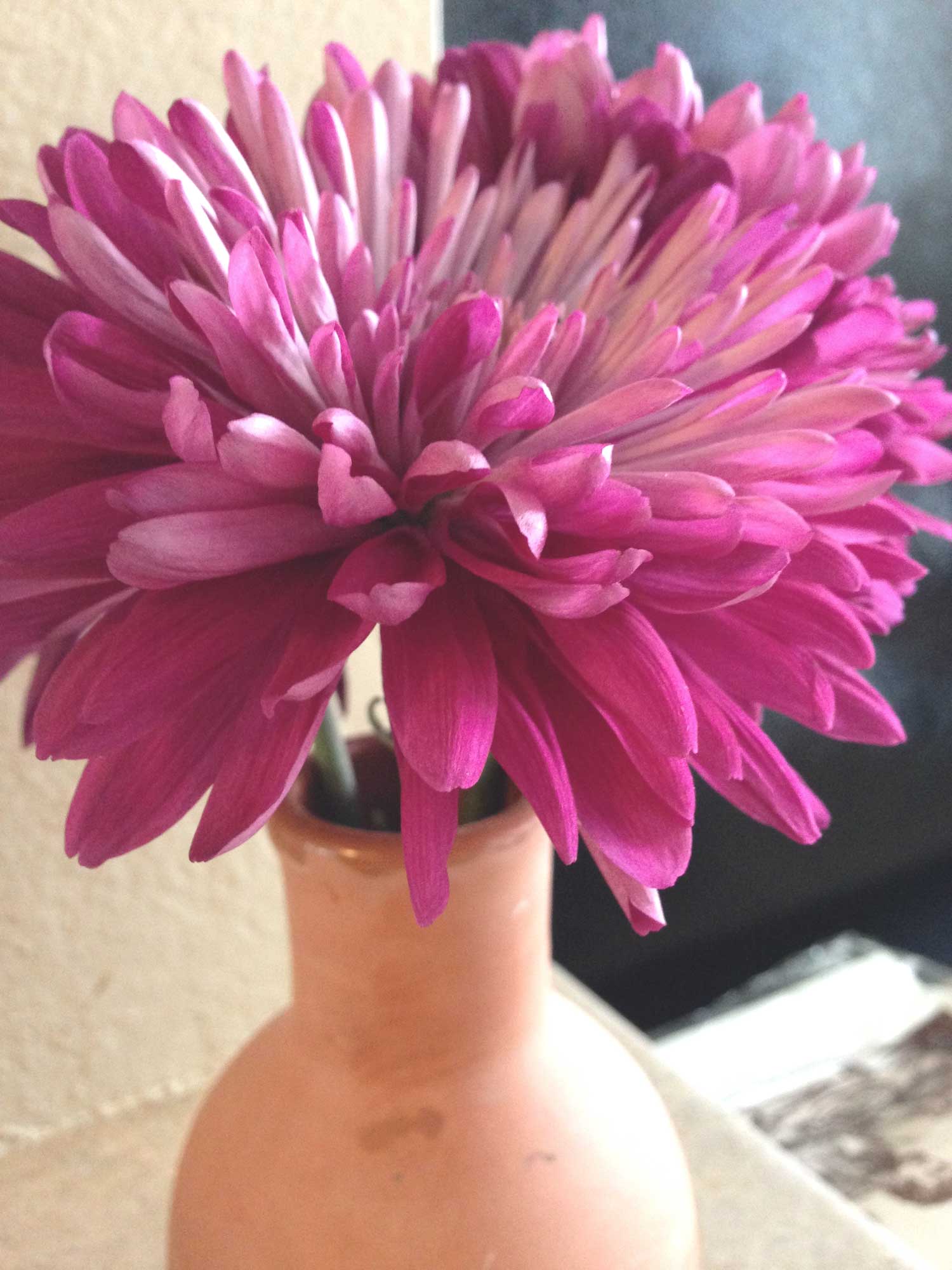 Such a deep, bold color