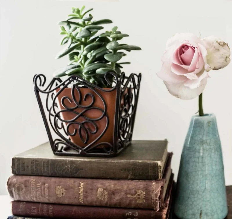 succulentbooks.jpg