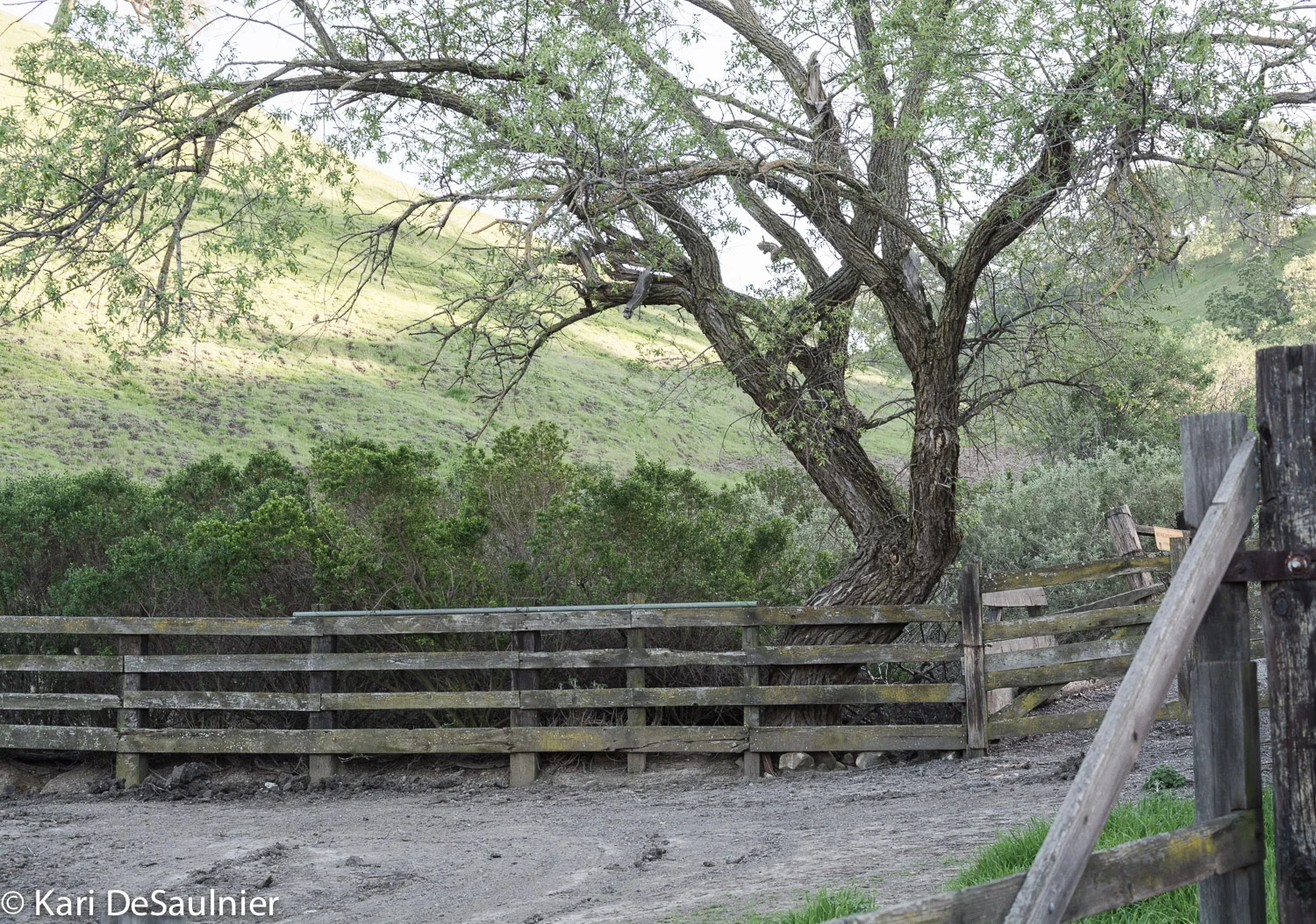 BorgesRanch-5.jpg