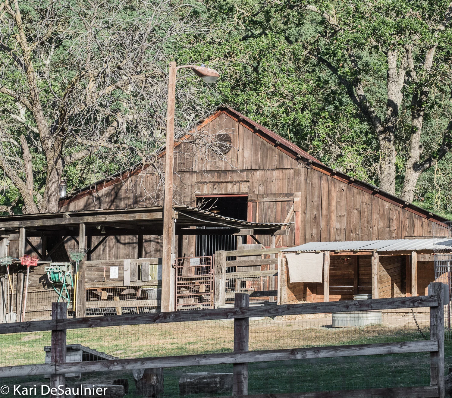 BorgesRanch-2.jpg