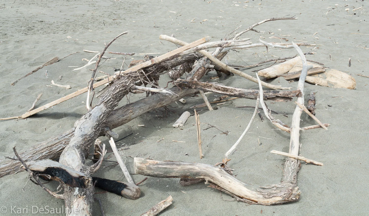 bodega_sculpture-1.jpg