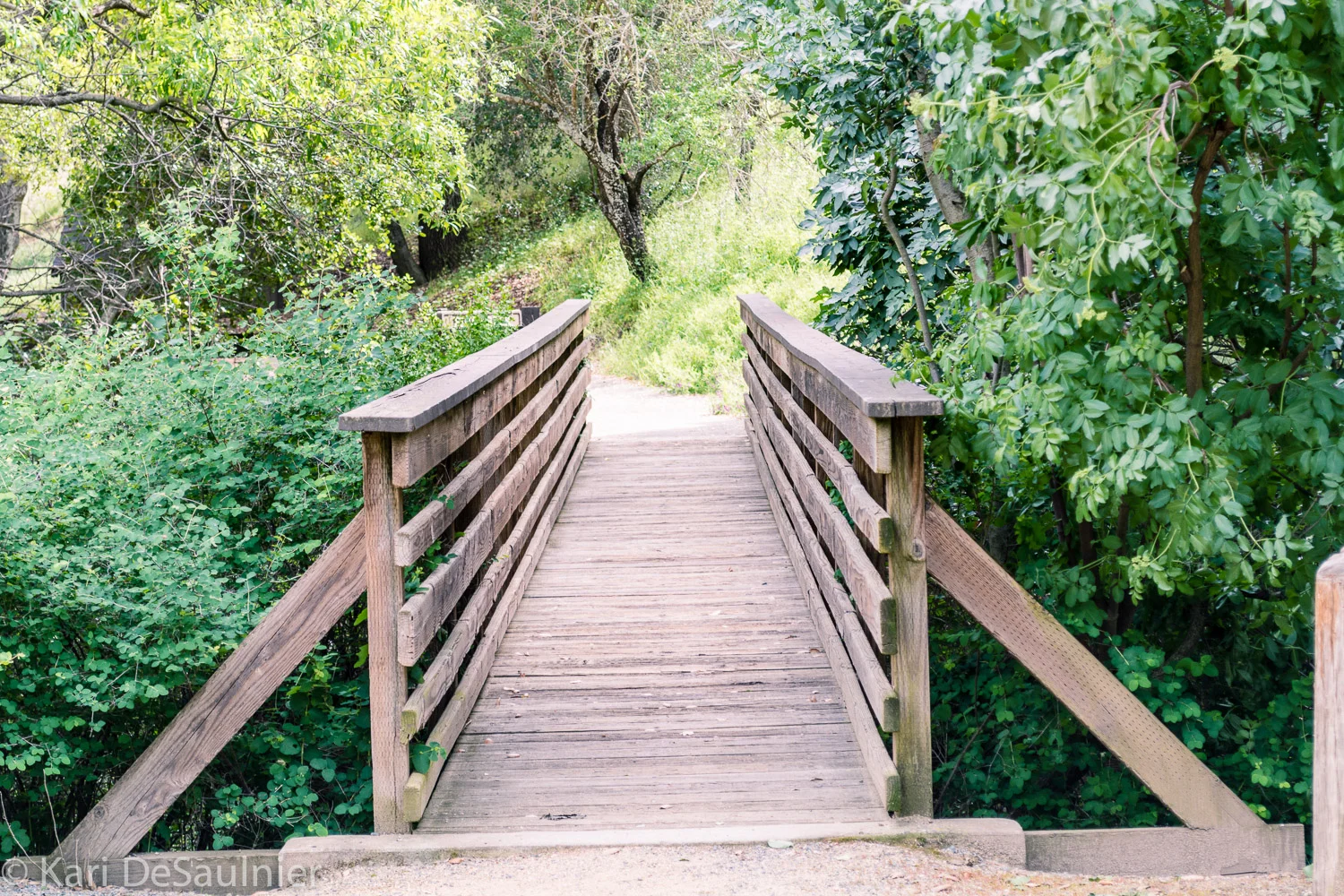 bridge.jpg