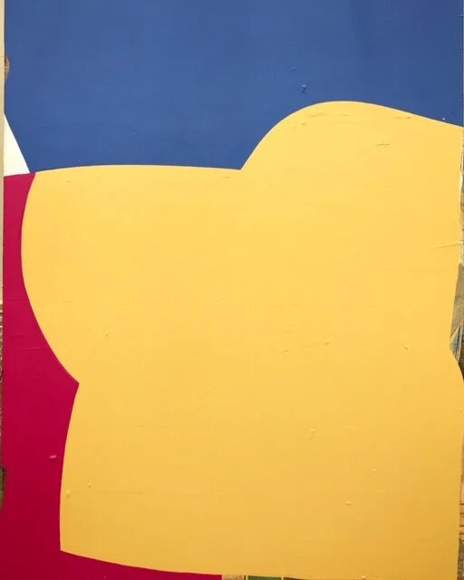 Nugent_Changing Bodies 2_acrylic on canvas_36x48_2800.JPG