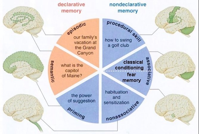 Different forms of memory, from quora.com