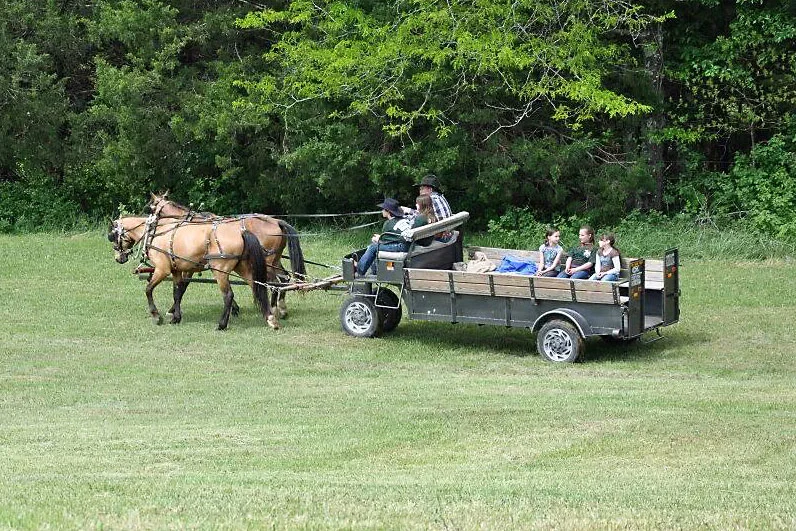Wagon Ride