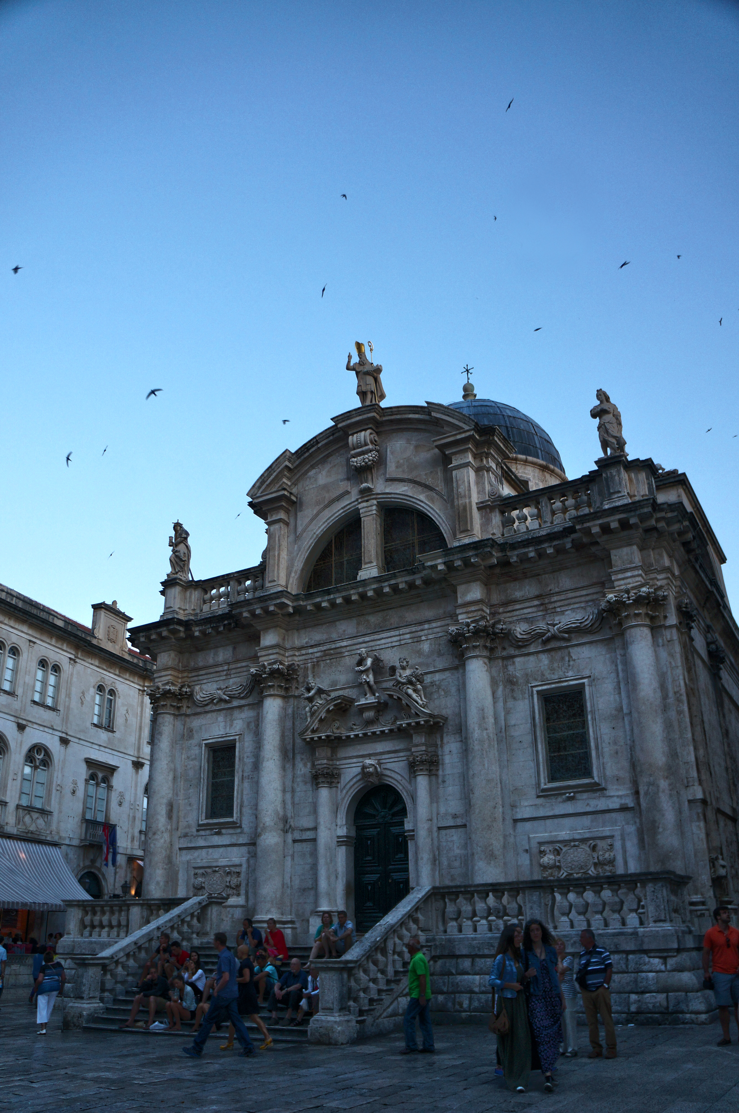 DSC09919.jpg