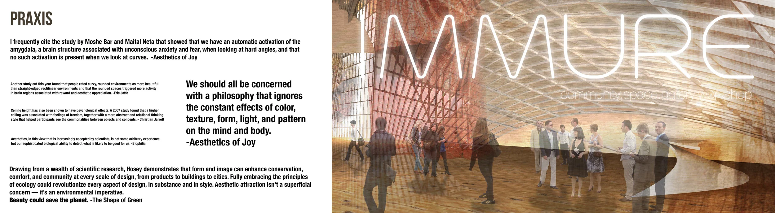 praxis board flattened.jpg