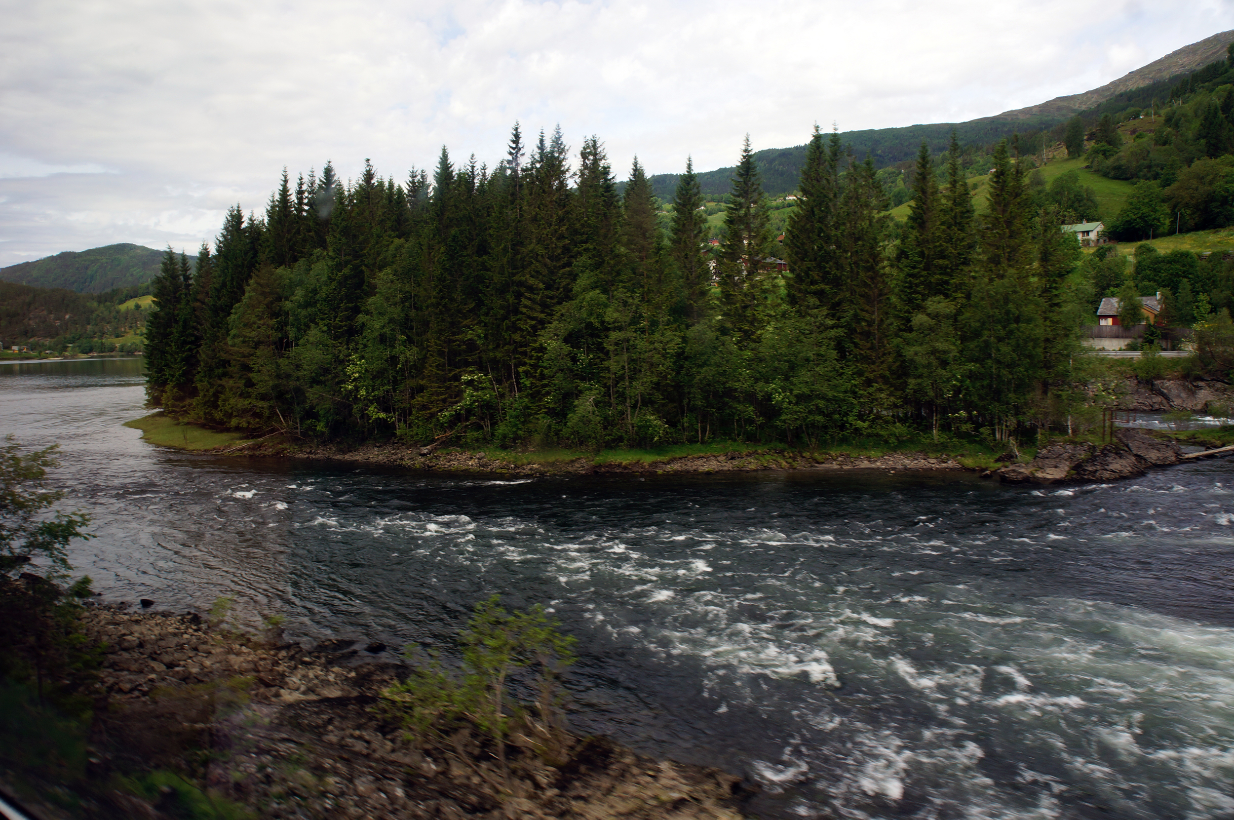 DSC03904.jpg