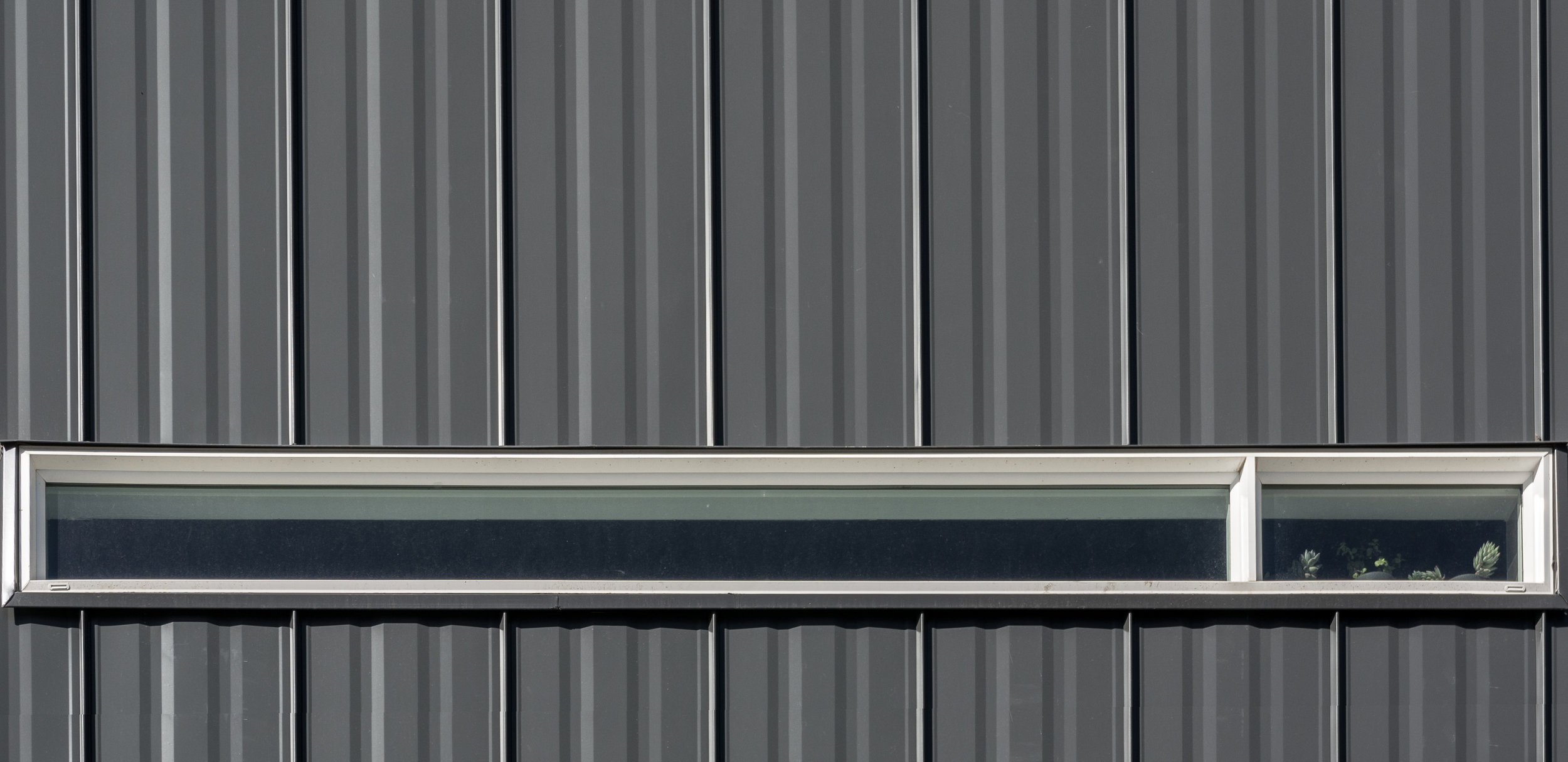 Exterior Window Detail Midday.jpg