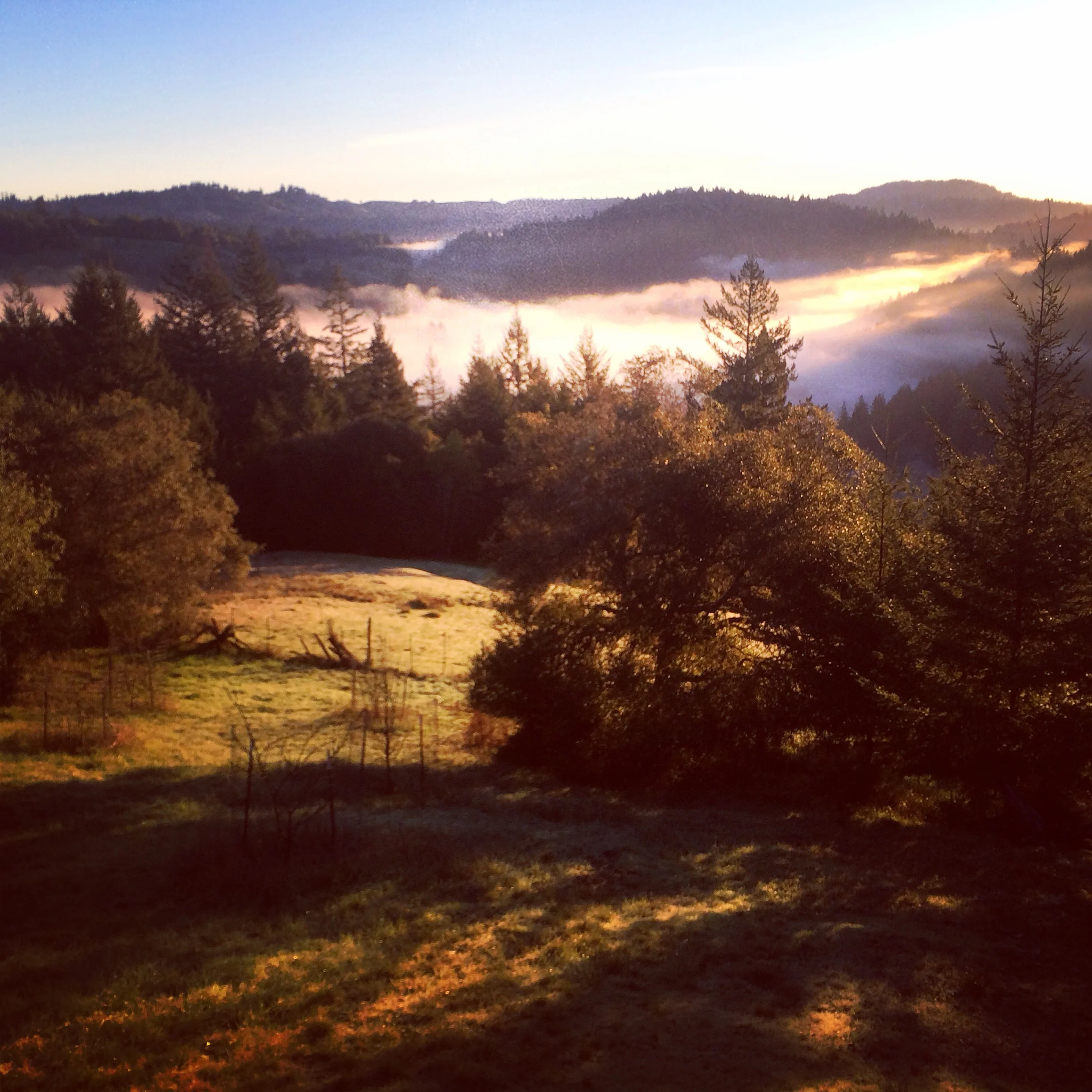 The New R&R: Retreat Edition