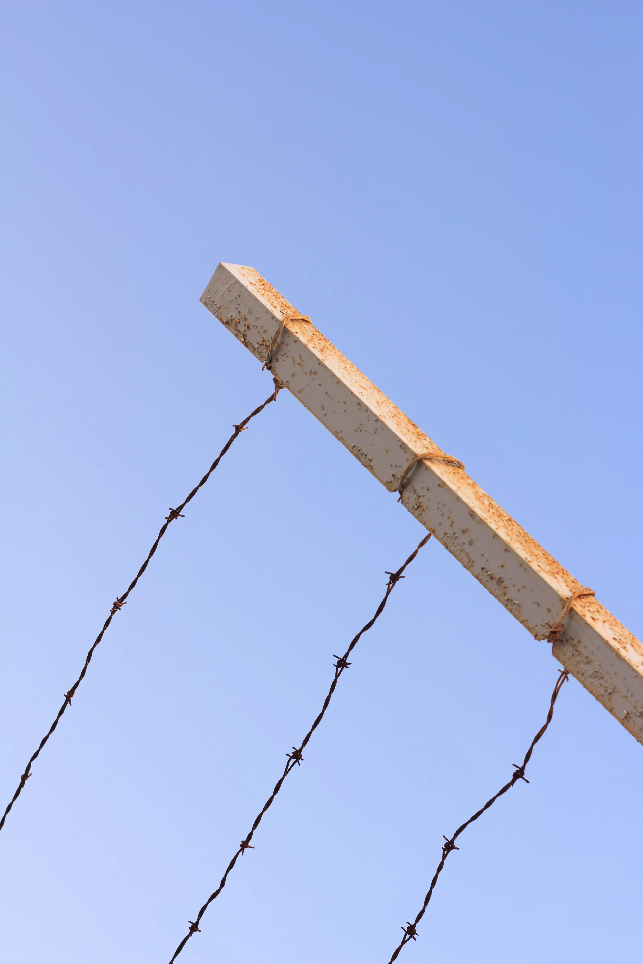 Barbed-9017.jpg