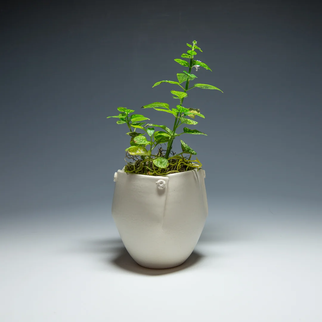 Porcelain planter $30