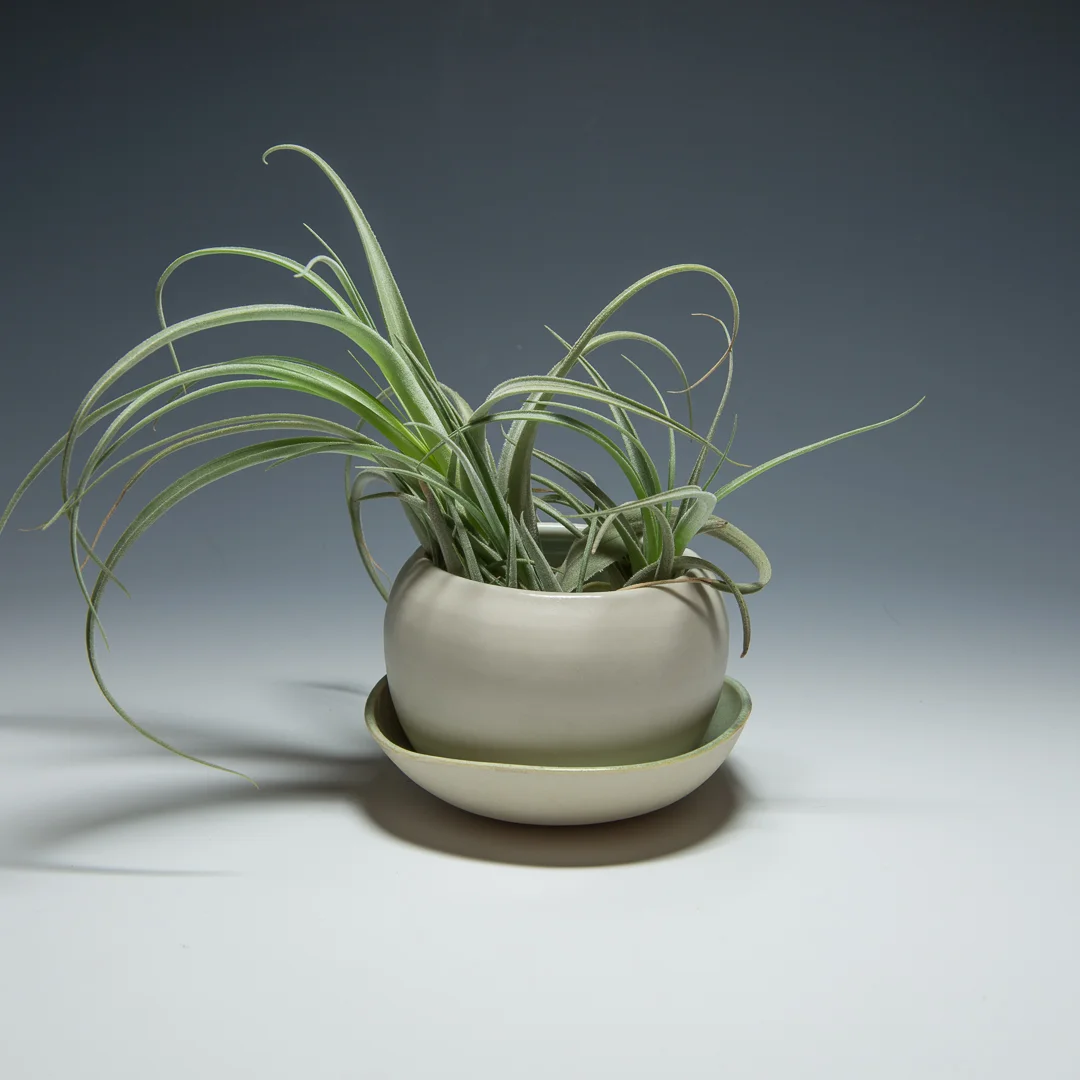 Porcelain planter $30/ $35 with base