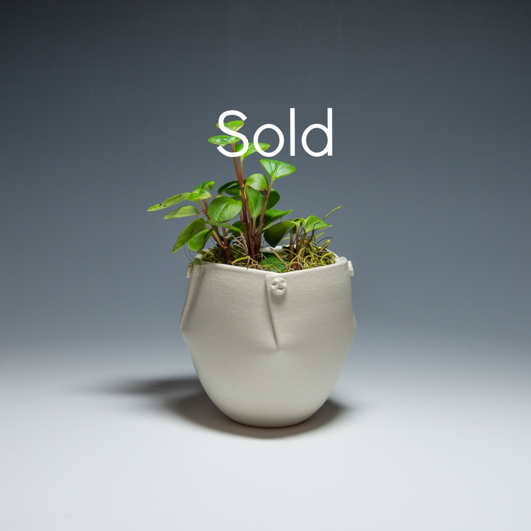Porcelain planter $30