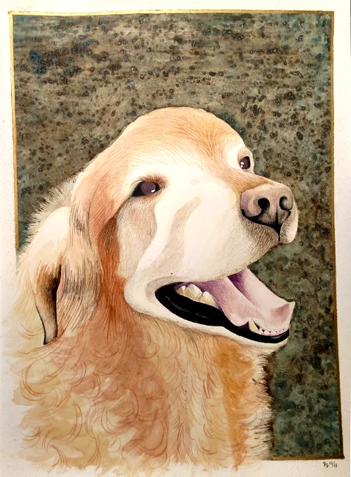 watercolor, colored pencil, and black walnut ink