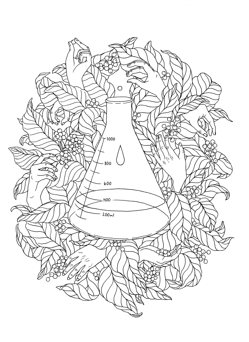 Catalyst Coffee commissioned illustration, ink on paper, 2018