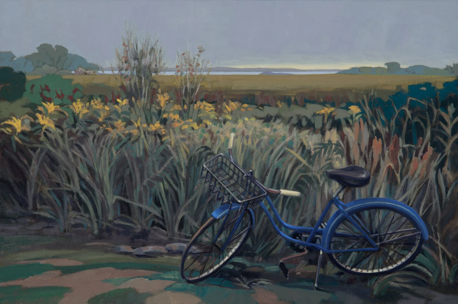 Morning Swim Salt Marsh