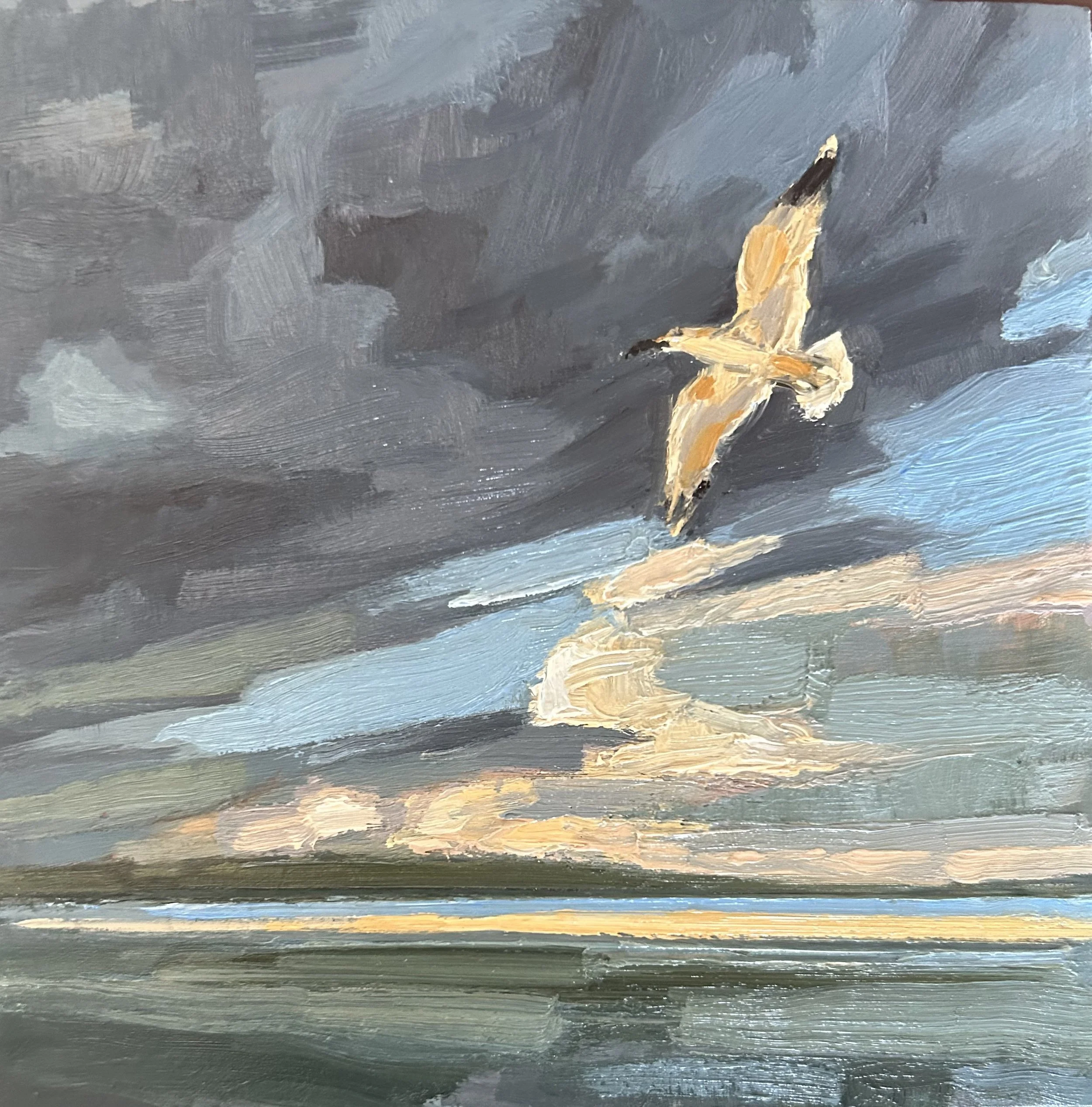 Soaring