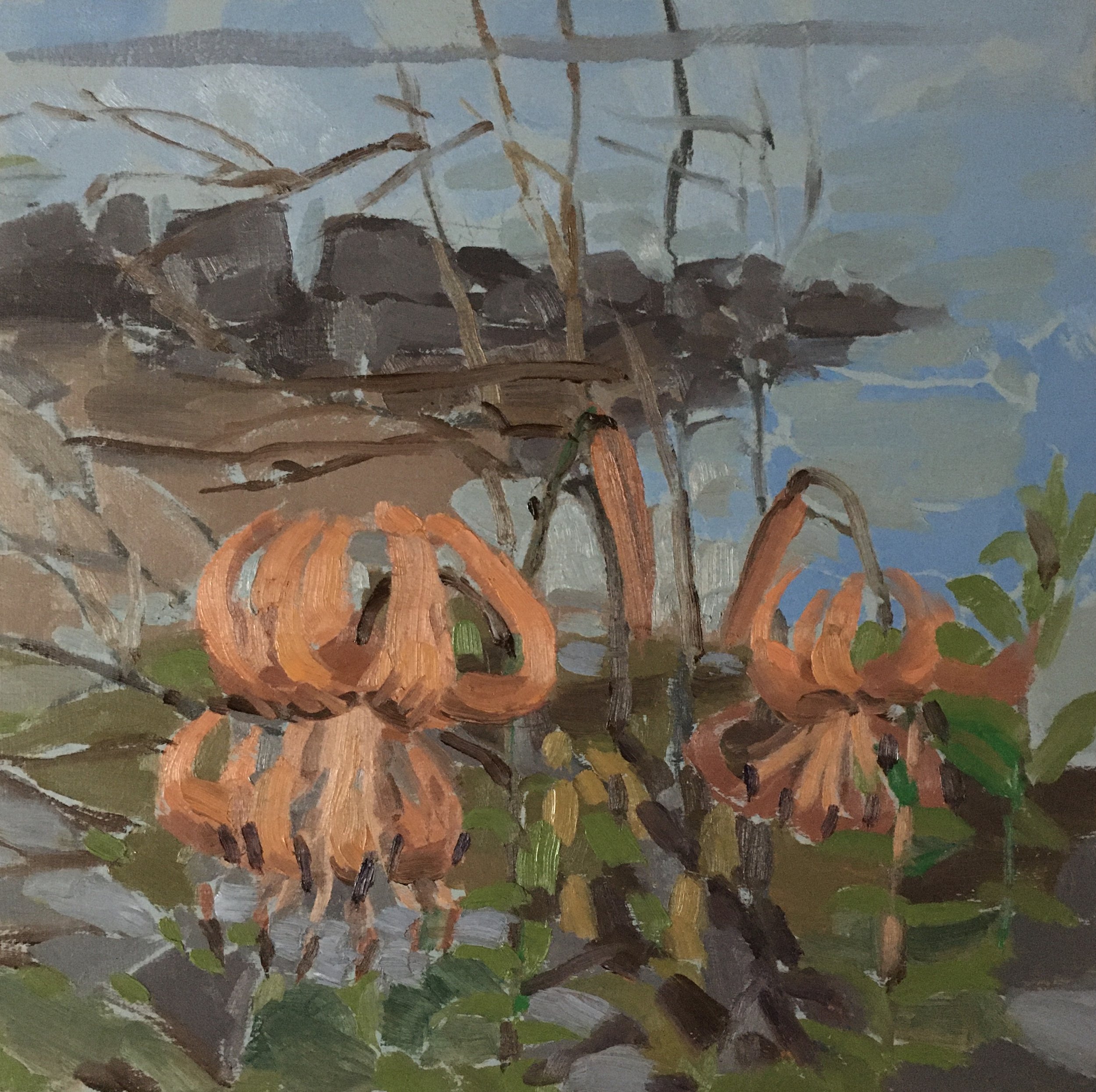 Island Lilies