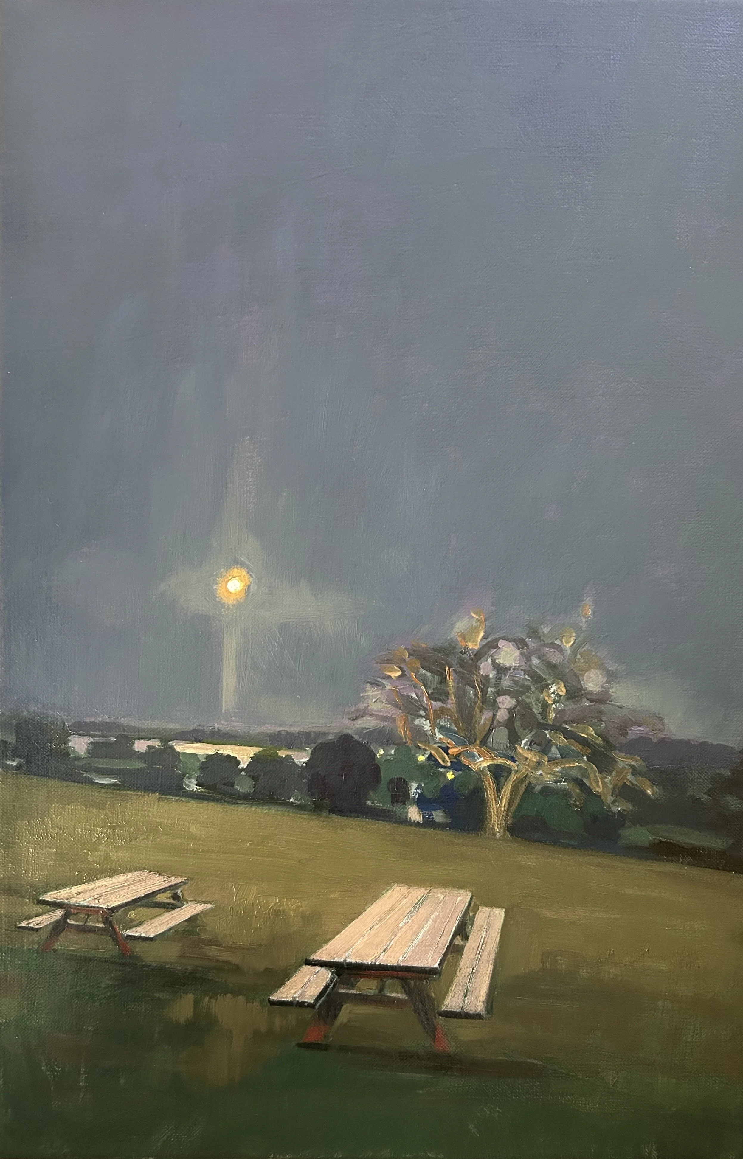 Moonrise Picnic
