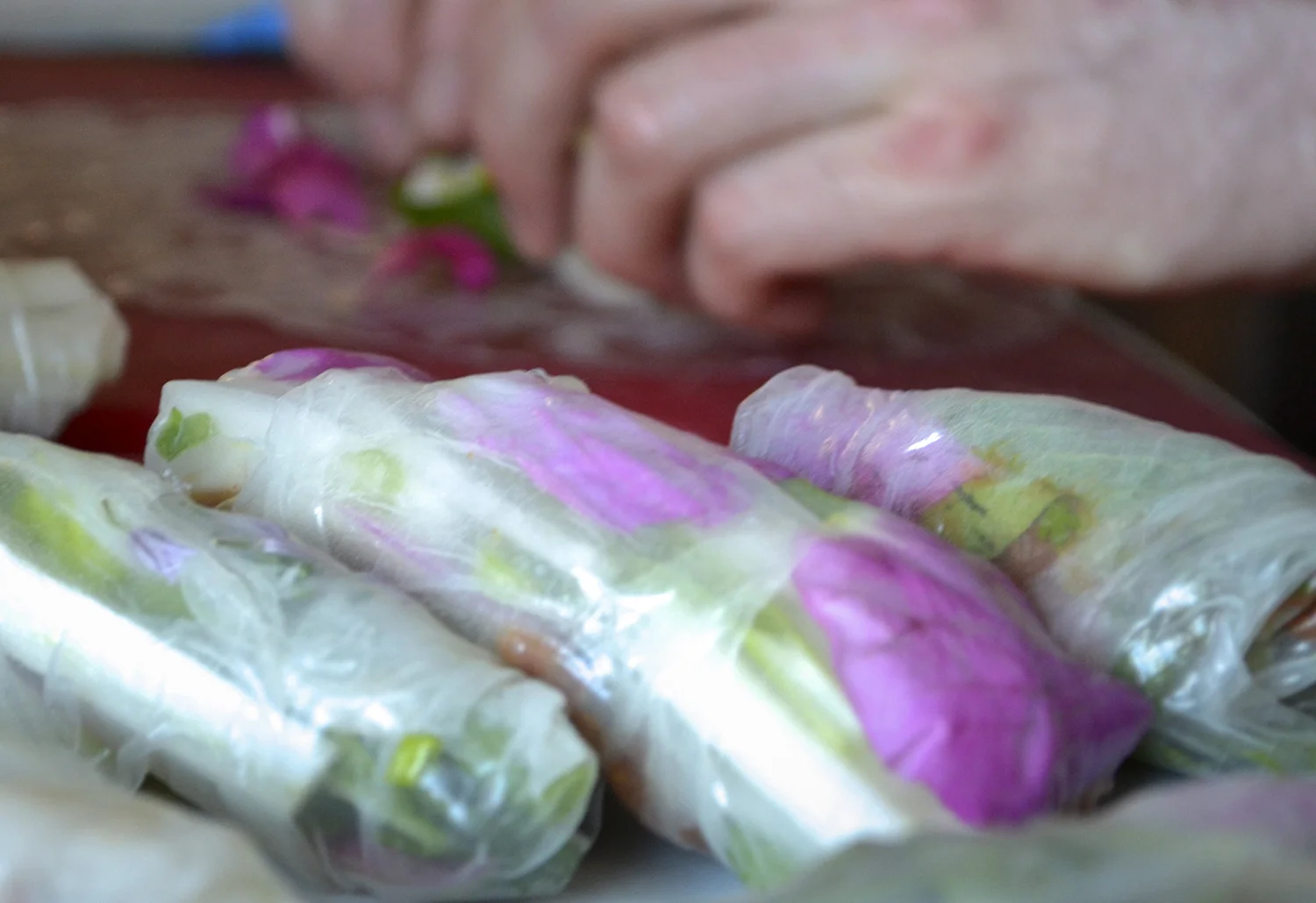 Bok Choy, Bronze Fennel and Chive Rice Wraps
