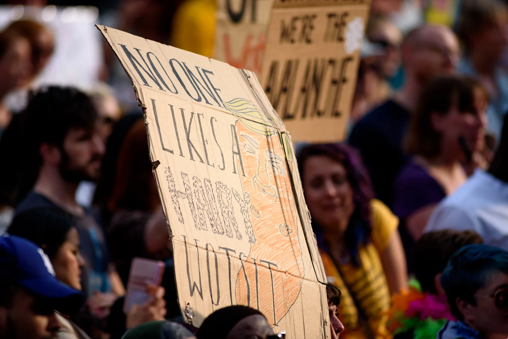 Sheffield Anti-Trump rally July 2018 Blog19.jpg