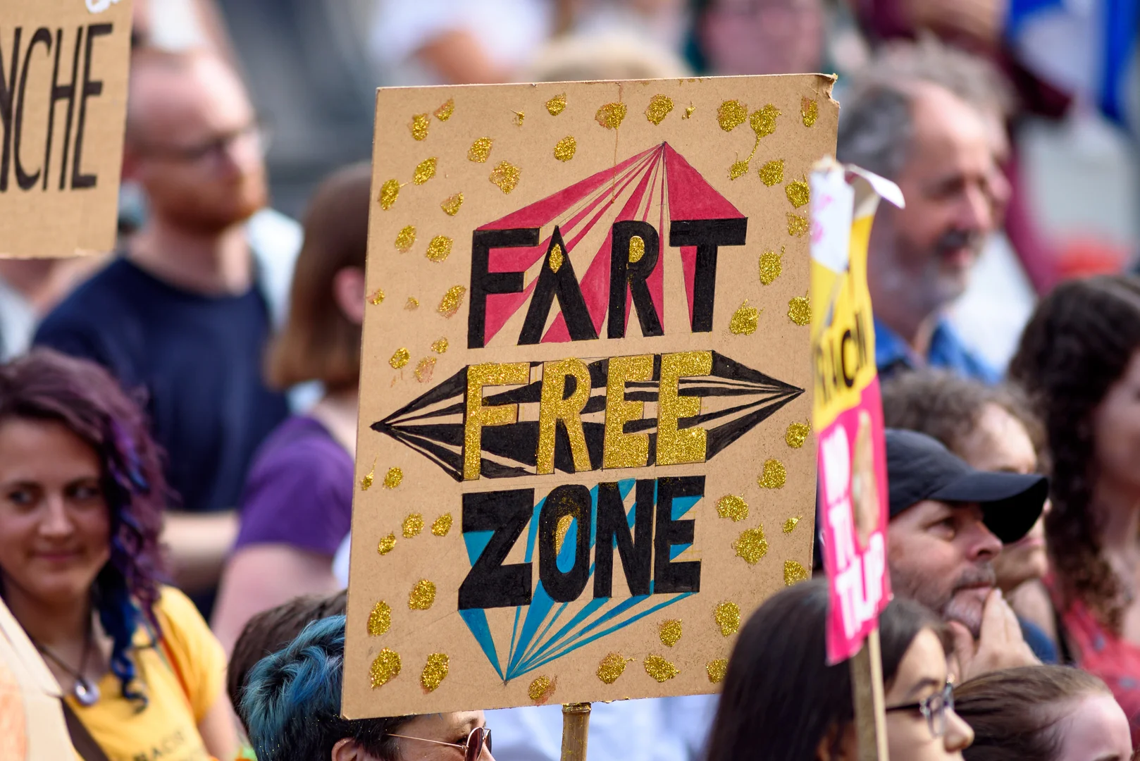 Sheffield Anti-Trump rally July 2018 Blog21.jpg