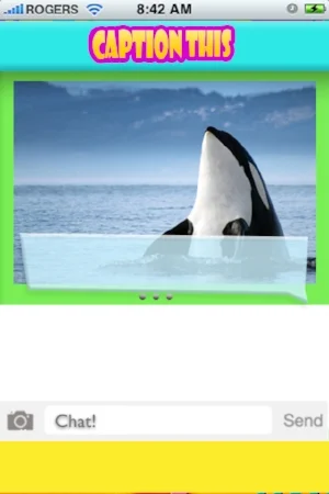 pages_1.jpg