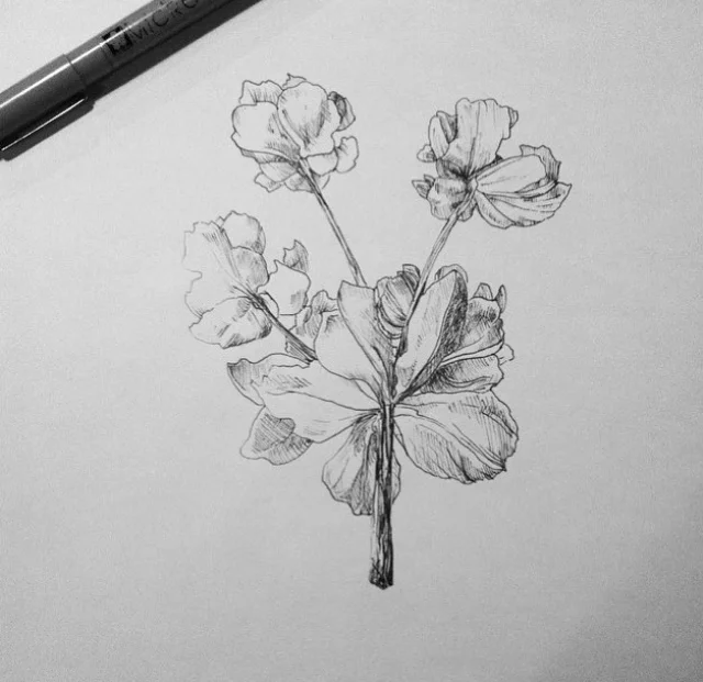 IMG_0401.jpg