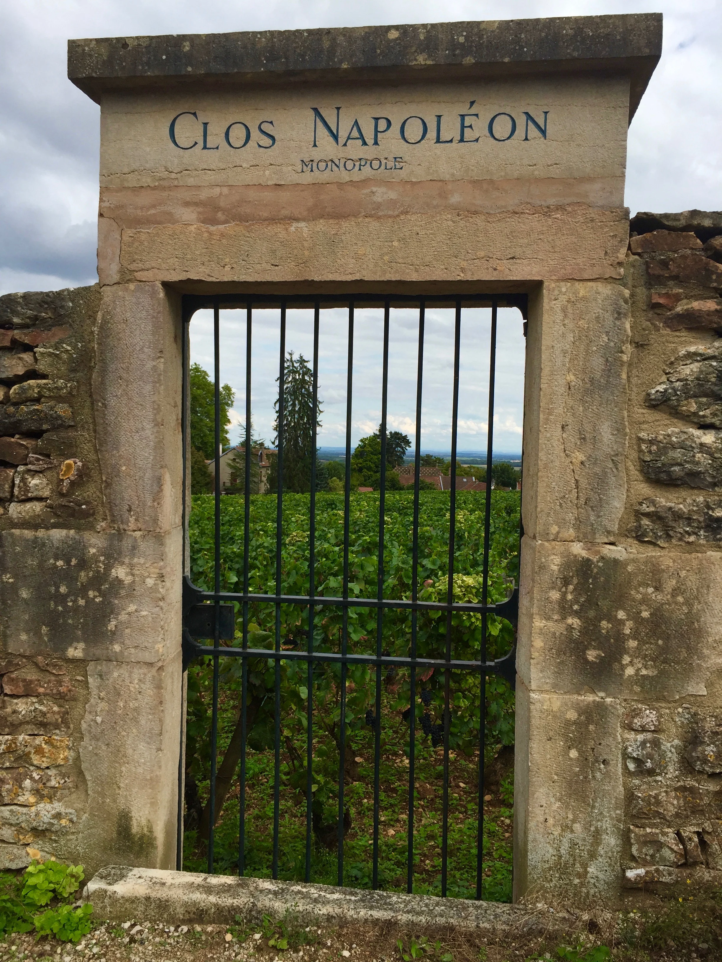 Clos Napoléon, Fixin
