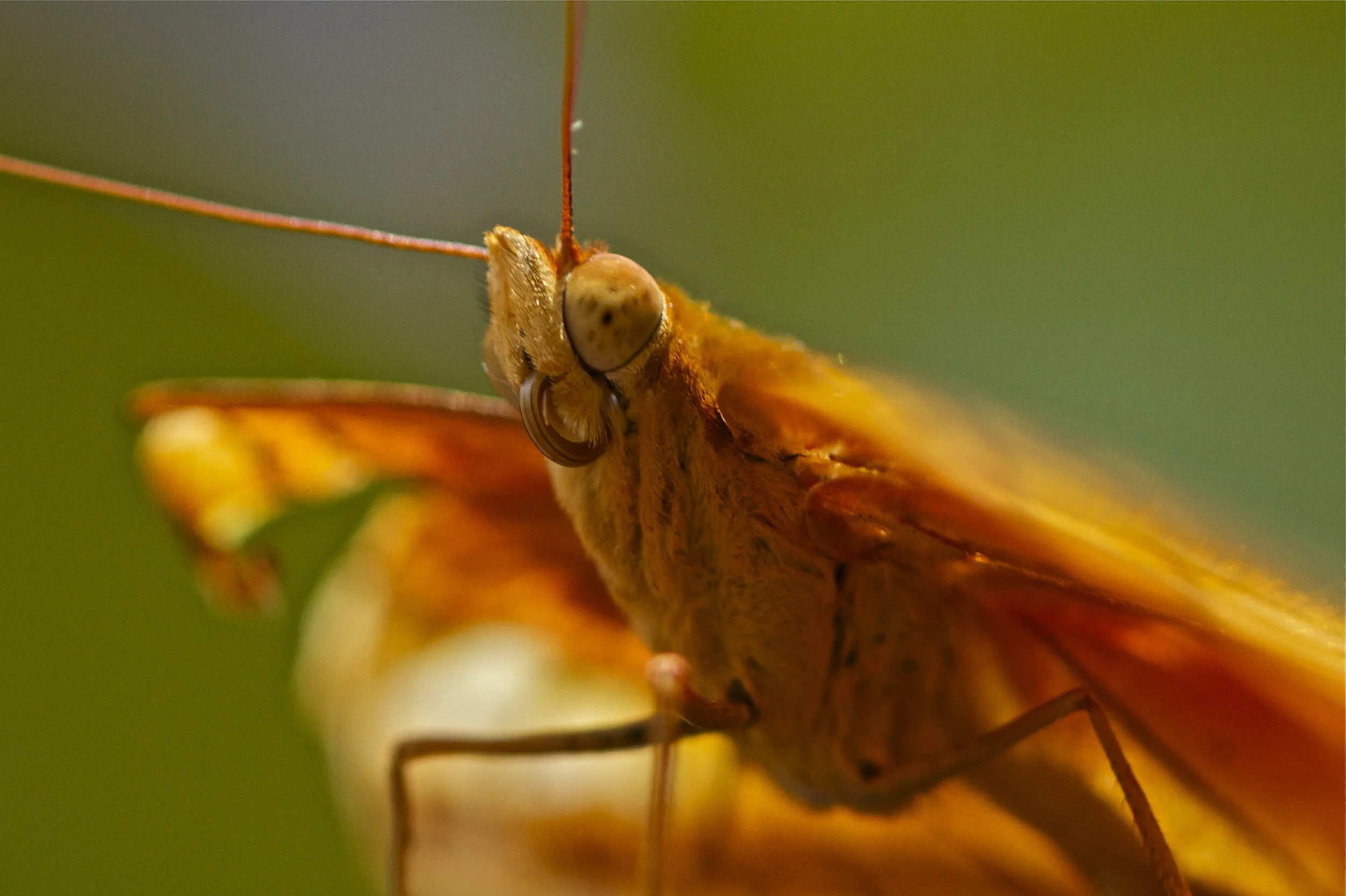 IMG_9142 - Version 3.jpg