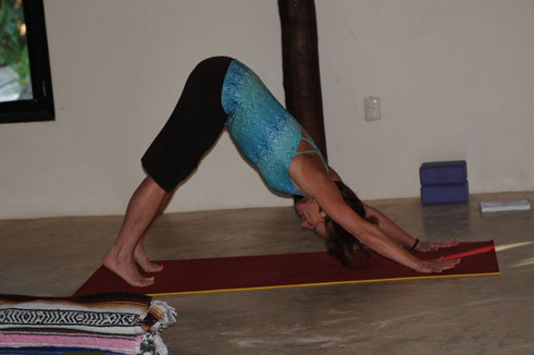 conni downward dog.jpg