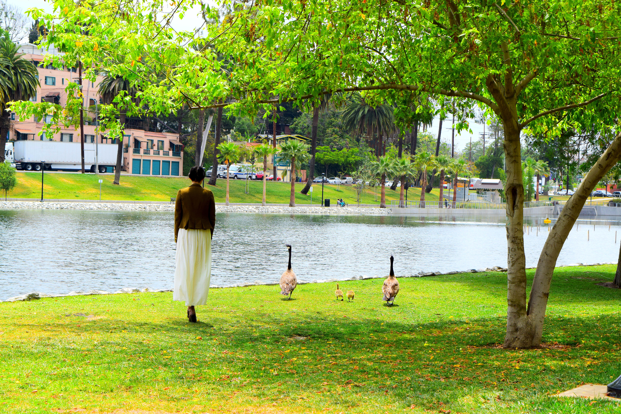 I made friends with this family of geese. LOOK AT THOSE GAWKY LITTLE FLUFFNUGS! I don't think it was so much that they thought I was one of them, as it was that they thought that I thought that I was one of them. And then they felt sorry for me. 