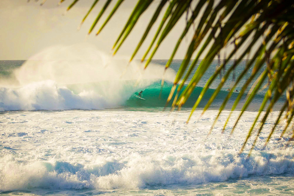 traceytomtene_0213_013 copy.jpg