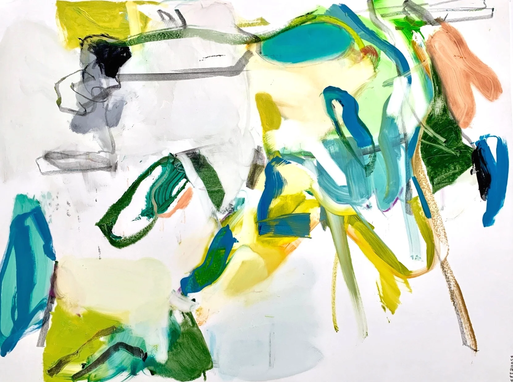 Field VI 2019 23 ¼ x 17 ¼ inches Oil on Mylar