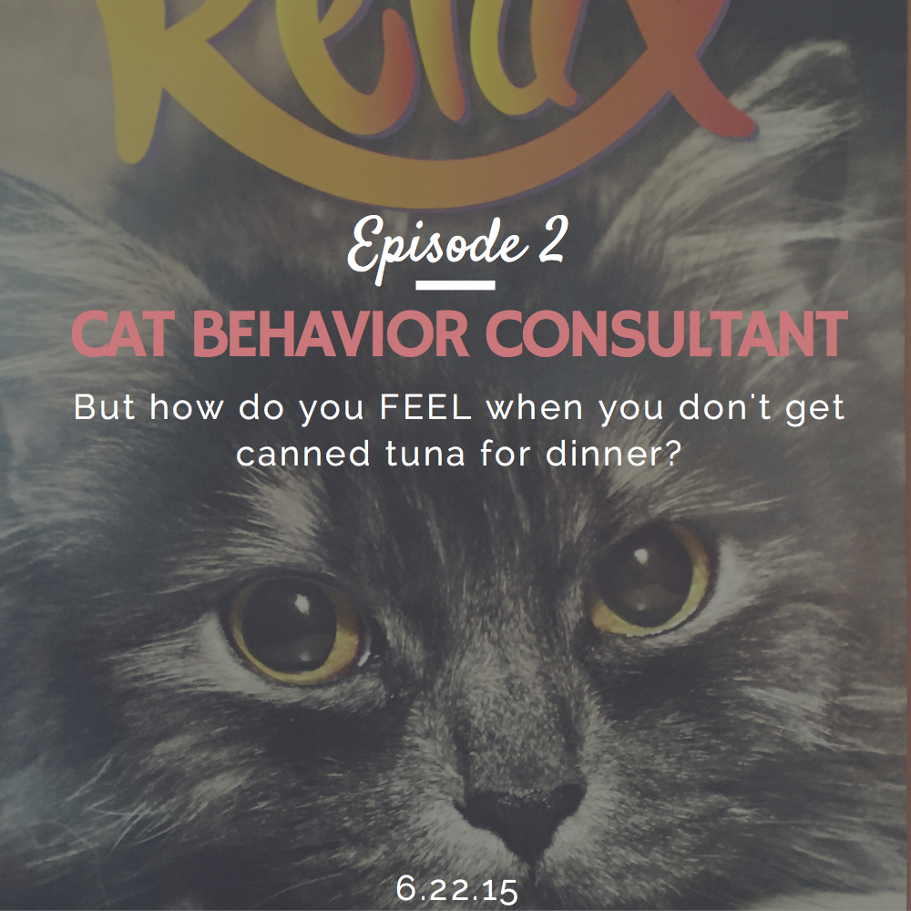 Cat Behavior Therapist.jpg
