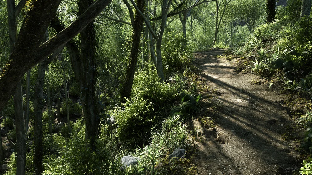 forestPath_1k.jpg